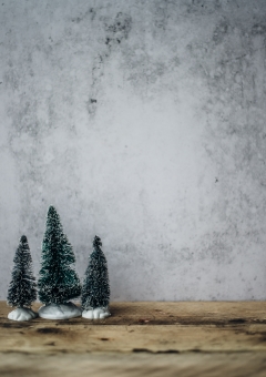 annie-spratt-481261-unsplash